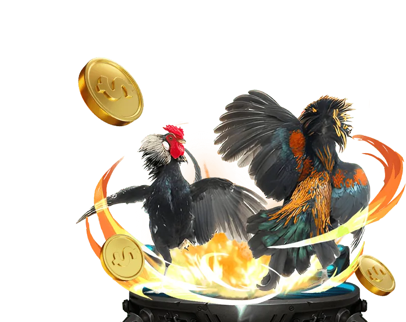 Tham gia chương trình VIP DU88