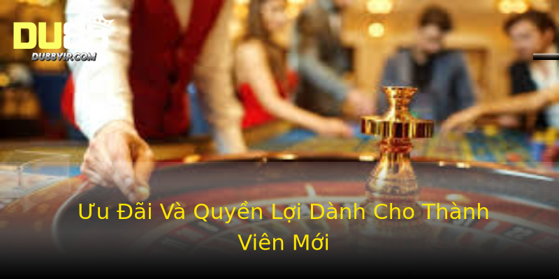 Ưu Đãi Và Quyền Lợi Dành Cho Thành Viên Mới Ưu Đãi Và Quyền Lợi Dành Cho Thành Viên Mới